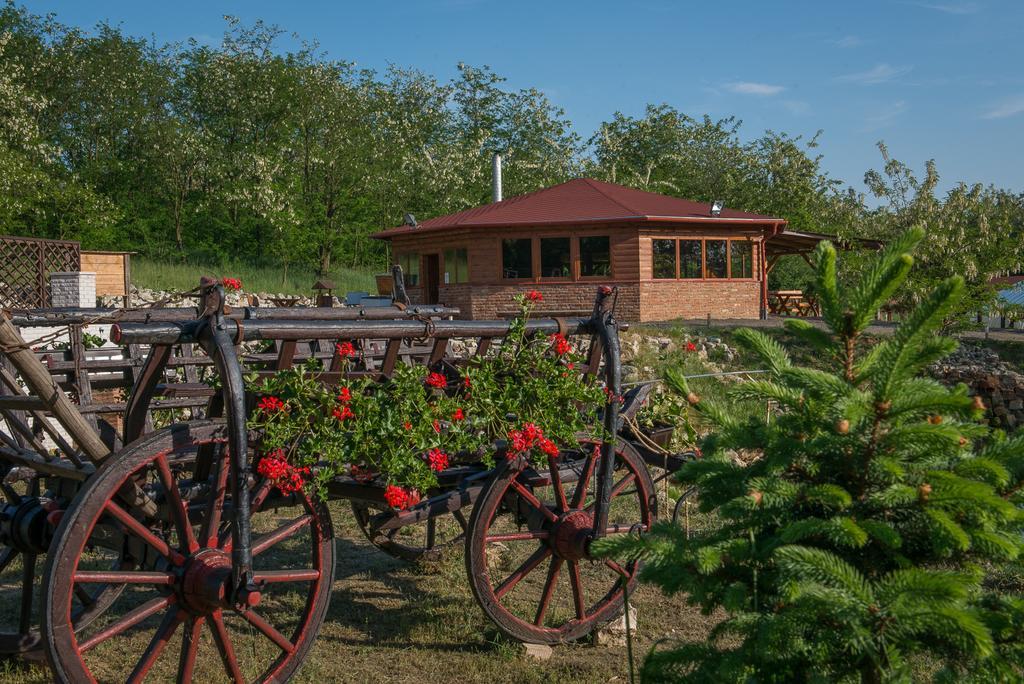 Farkasverem Vendeghaz Hotel Nyírtura Eksteriør billede